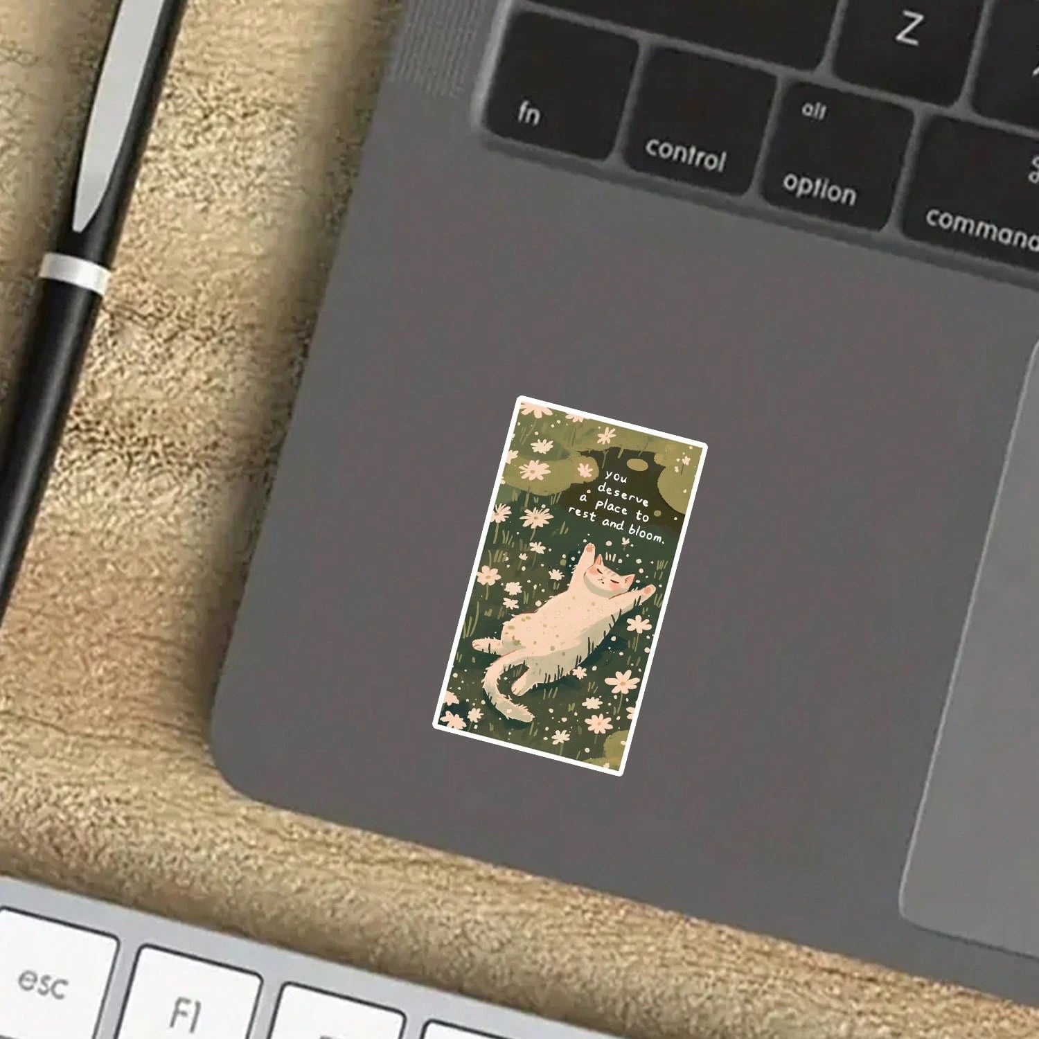 1/2/5pcs "You Deserve A Place To Rest And Bloom" Cozy Cat Napping In Daisy Garden Stickers, Suitable For Laptop, Water Bottle, Diary, Scrapbook, Mental Health Encouragement Gift For Teenage Girls And