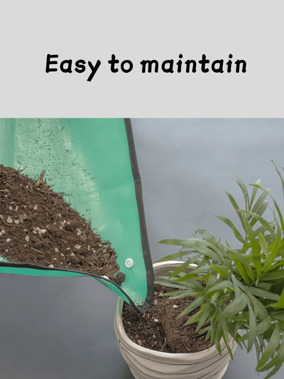 1 Reusable Green Plant Cultivation Pot- Suitable For Indoor Plants And Greenery Planting- Applicable For Balcony Plant Cultivation, Soil Replacement- Comfortable Pot Decor Design- Includes Plant C