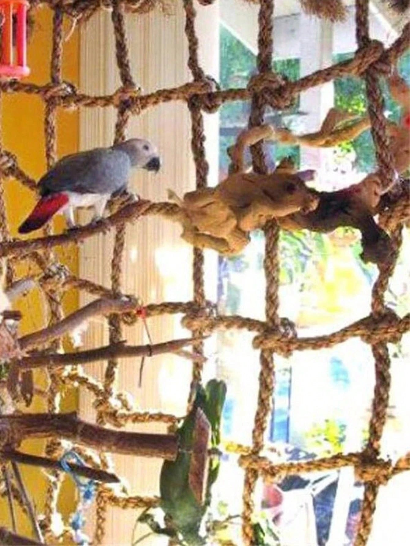 1pc Ladder Swing Climbing Net For Birds, Suitable For All Seasons (Single Climbing Net)