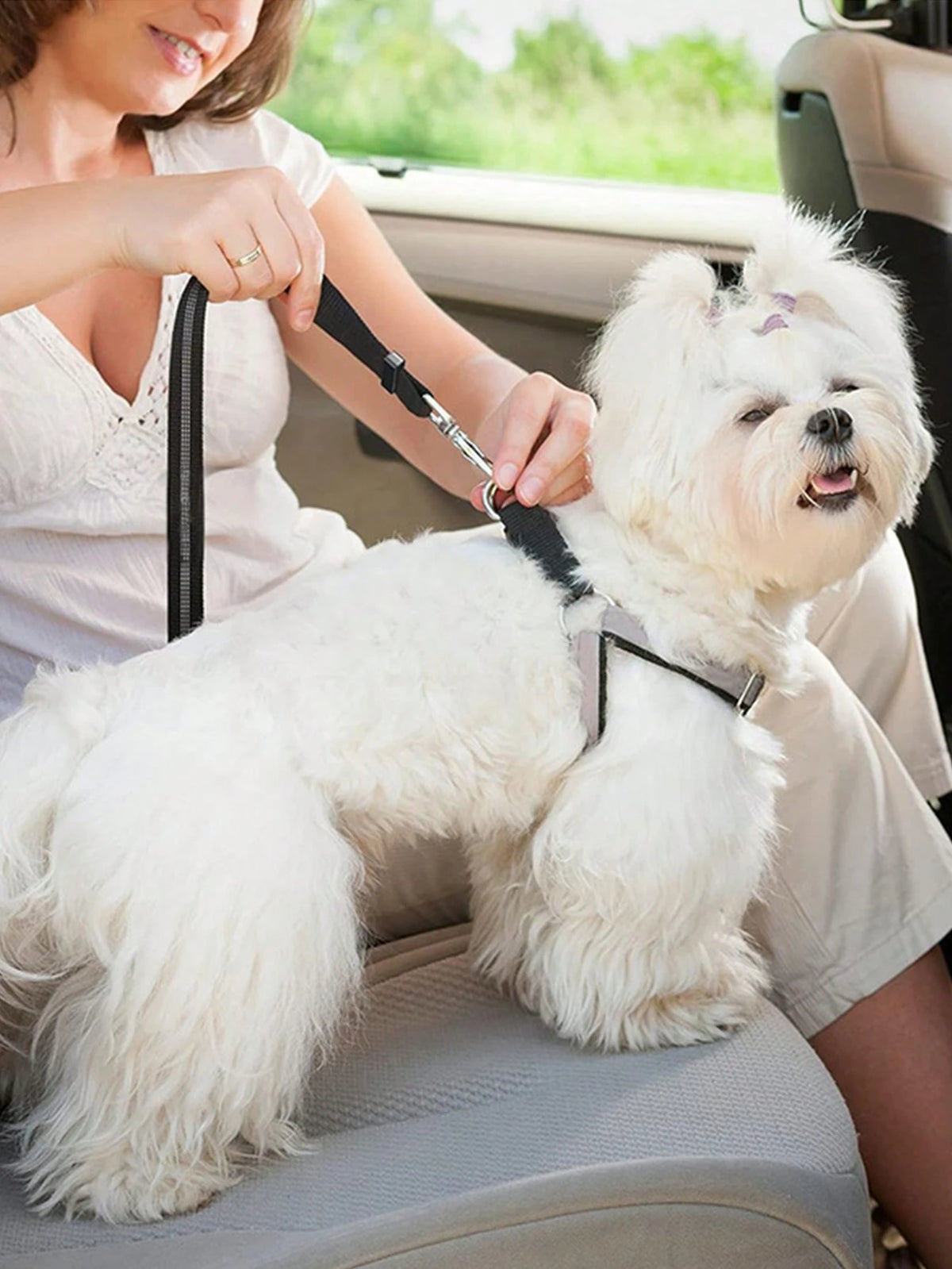 1pc Pet Car Safety Belt Dog Leash, Retractable, With Shock Absorption, Elasticity, Reflectivity, Made Of Durable Nylon