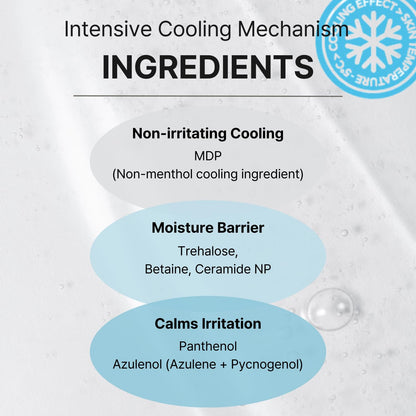 Cell Fusion C First Cooling Mask