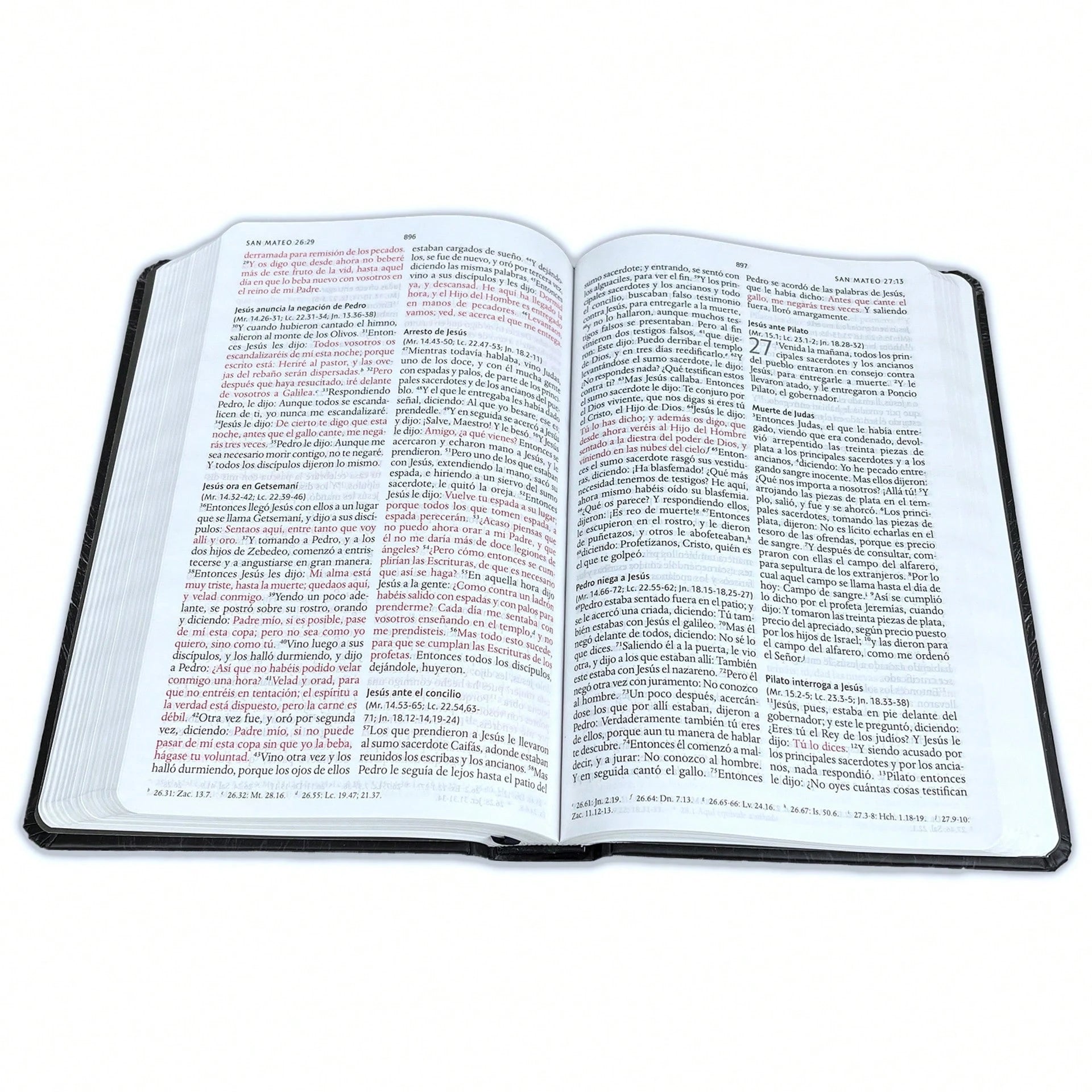 Biblia Leon Con Imagenes De La Tierra Santa RV1960, Tapa Dura