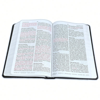 Biblia Leon Con Imagenes De La Tierra Santa RV1960, Tapa Dura