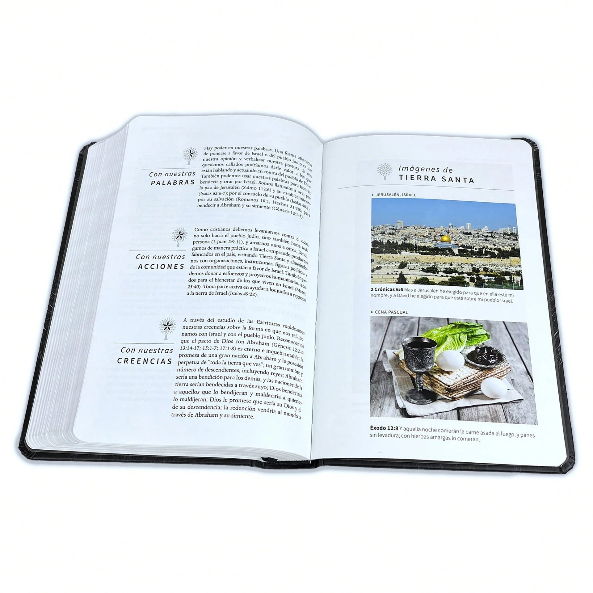 Biblia Leon Con Imagenes De La Tierra Santa RV1960, Tapa Dura
