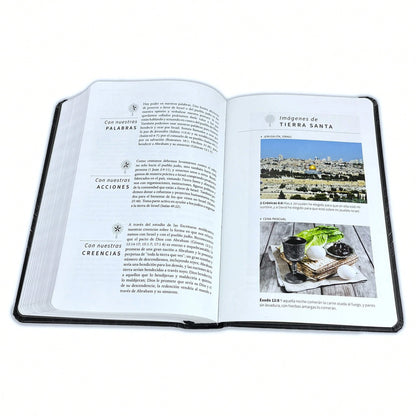 Biblia Leon Con Imagenes De La Tierra Santa RV1960, Tapa Dura