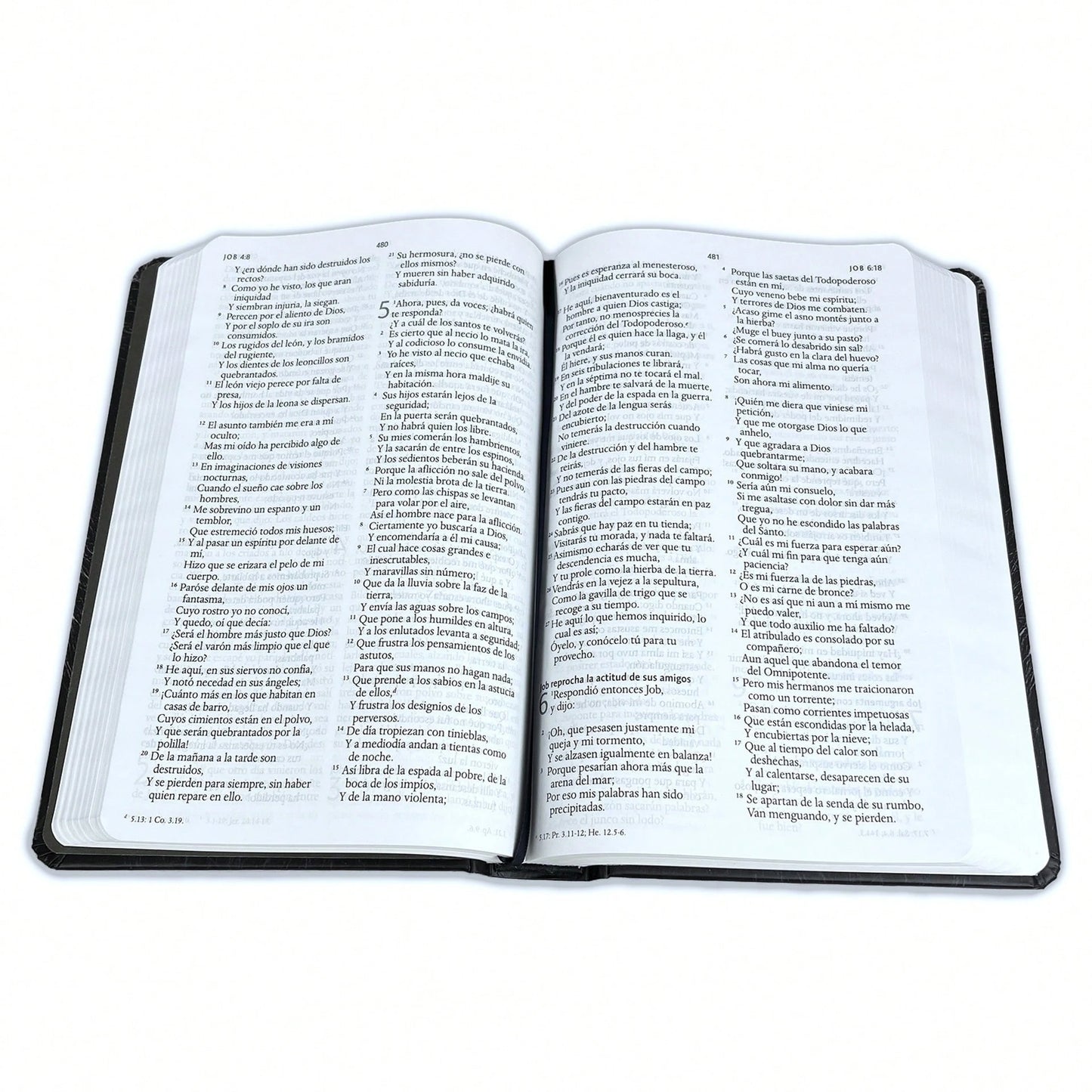 Biblia Leon Con Imagenes De La Tierra Santa RV1960, Tapa Dura