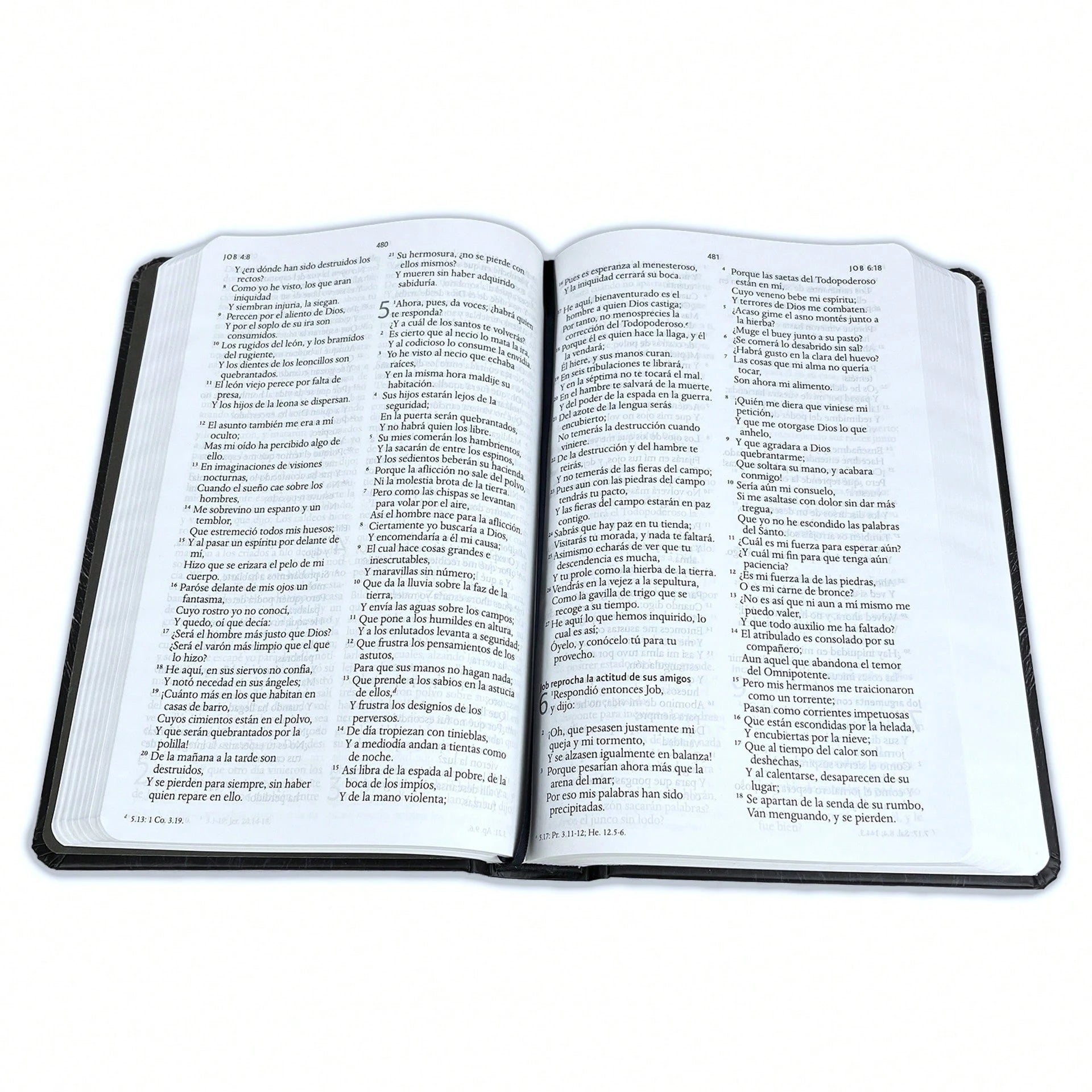 Biblia Leon Con Imagenes De La Tierra Santa RV1960, Tapa Dura