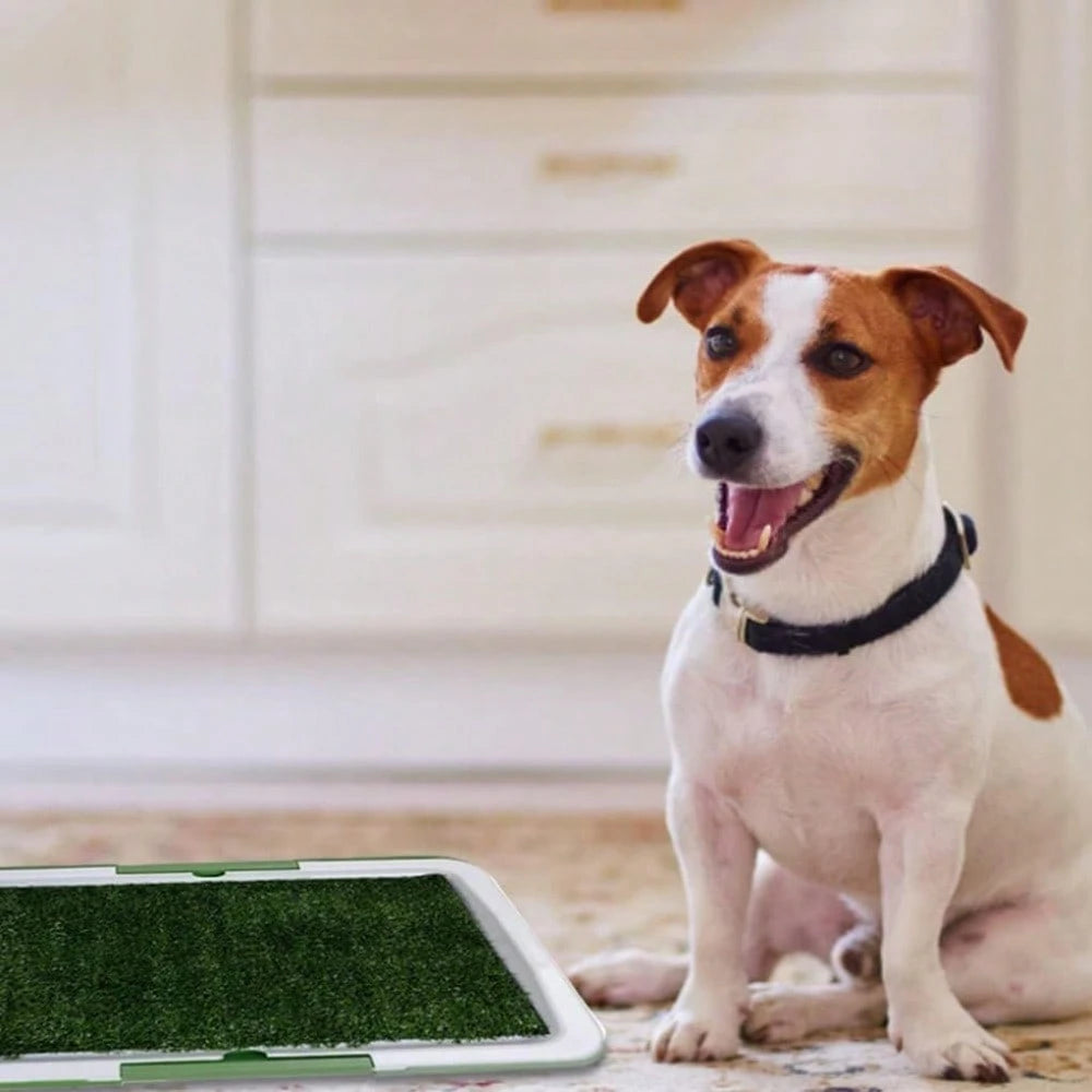 Dog Training Toilet Puppy Pee Potty Pad Splash Proof Artificial Grass Pad With Tray Dog Training Toilet-Easy Clean-Up, Non-Slip Pet Toilet, Odor-Free Indoor Puppy Potty Box, Suitable For Indoor And Ou