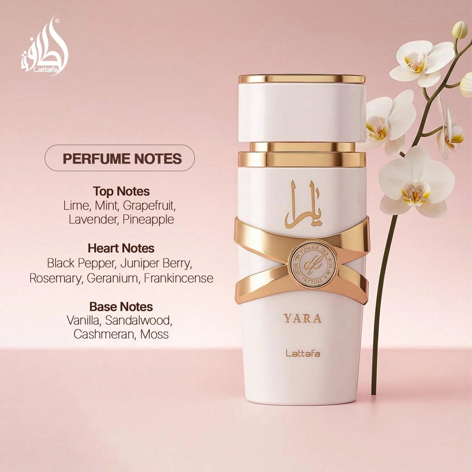 Lattafa Yara- Vanilla, Gourmand, Fruity, Floral- Eau De Parfum Long-Lasting Fragrance For Women, 3.40 Ounce/ 100 Ml