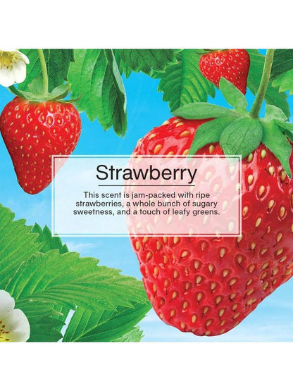 Little Trees Strawberry Scent Air Freshener Car Auto Home Hanging Office Pack Of 12