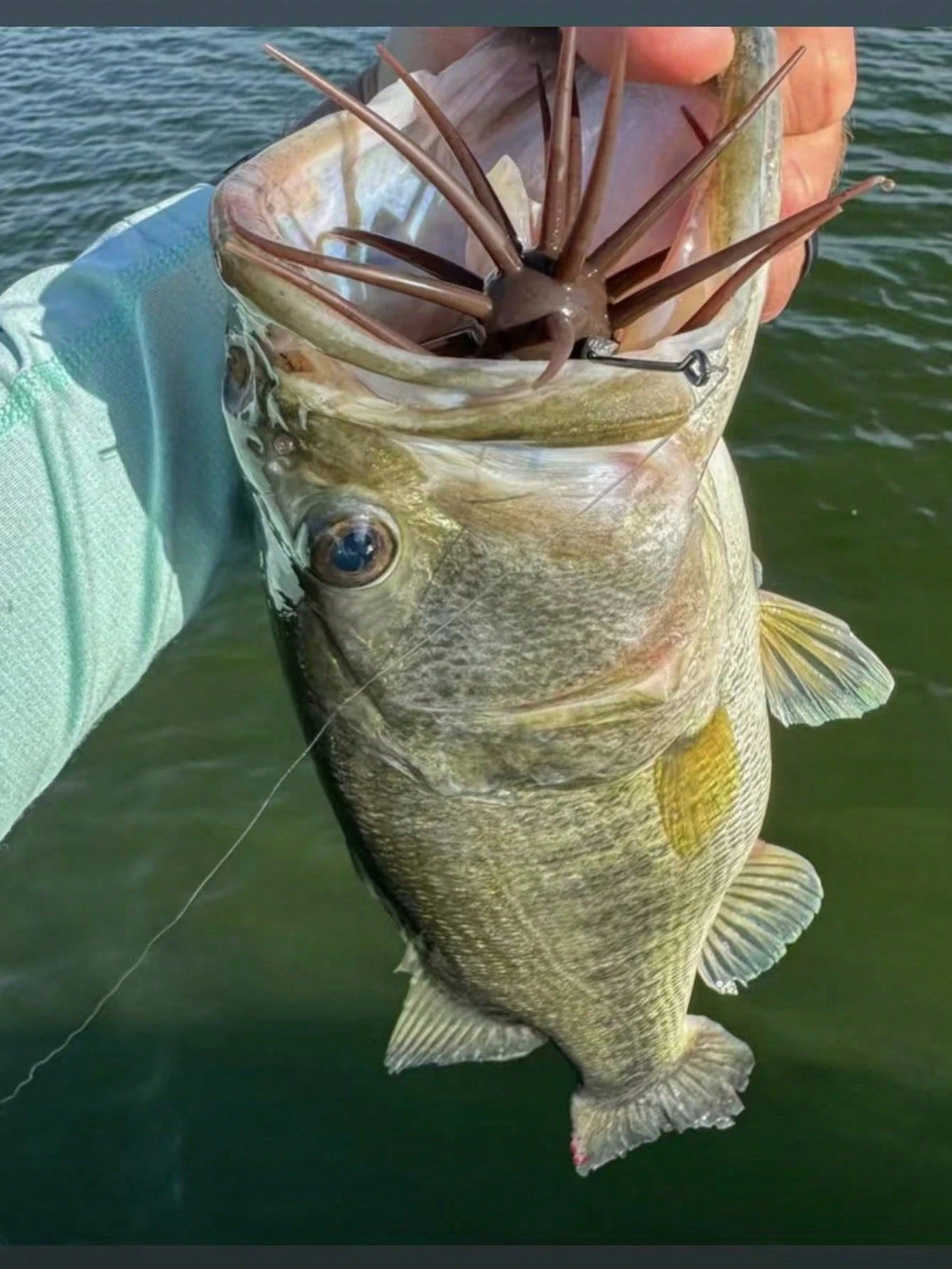 Lure Floating Sea Urchin Soft Bait, Bite-Resistant TPE, High-Elasticity Bionic Sea Urchin, Bionic Water Urchin Ball For Black Pit And Wild Fishing
