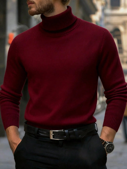 Men's Casual Solid Color Turtleneck Sweater, Autumn/Winter, Long Sleeve Top