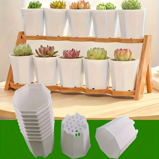 New 12pcs Mini Thickened Octagonal Succulent Pots Plastic Small Flower Pots Plant Seedling Pots Breathable Home Balcony Potted Plants
