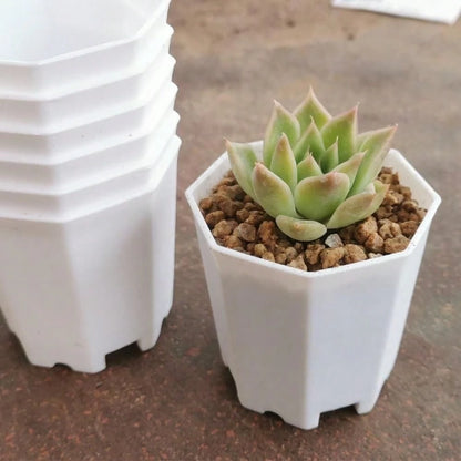New 12pcs Mini Thickened Octagonal Succulent Pots Plastic Small Flower Pots Plant Seedling Pots Breathable Home Balcony Potted Plants