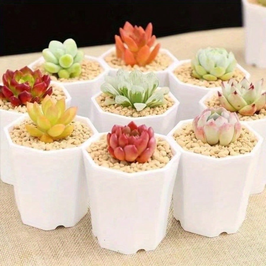 New 12pcs Mini Thickened Octagonal Succulent Pots Plastic Small Flower Pots Plant Seedling Pots Breathable Home Balcony Potted Plants