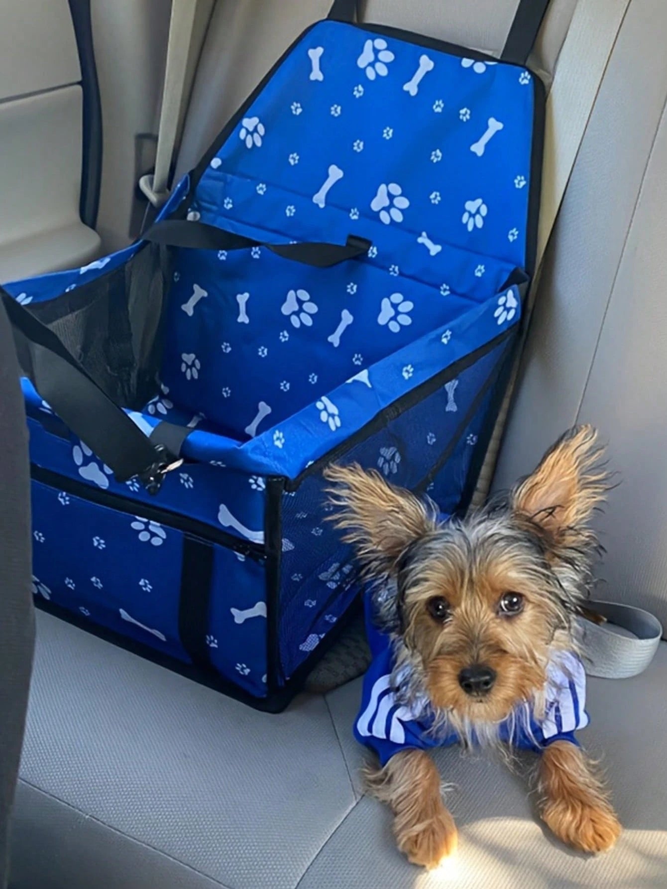 Pet Reinforce Car Booster Seat For Dog Cat Portable And Breathable Bag With Seat Belt Dog Carrier Safety Stable For Travel Look Out,With Clip On Leash With PVC Tube
