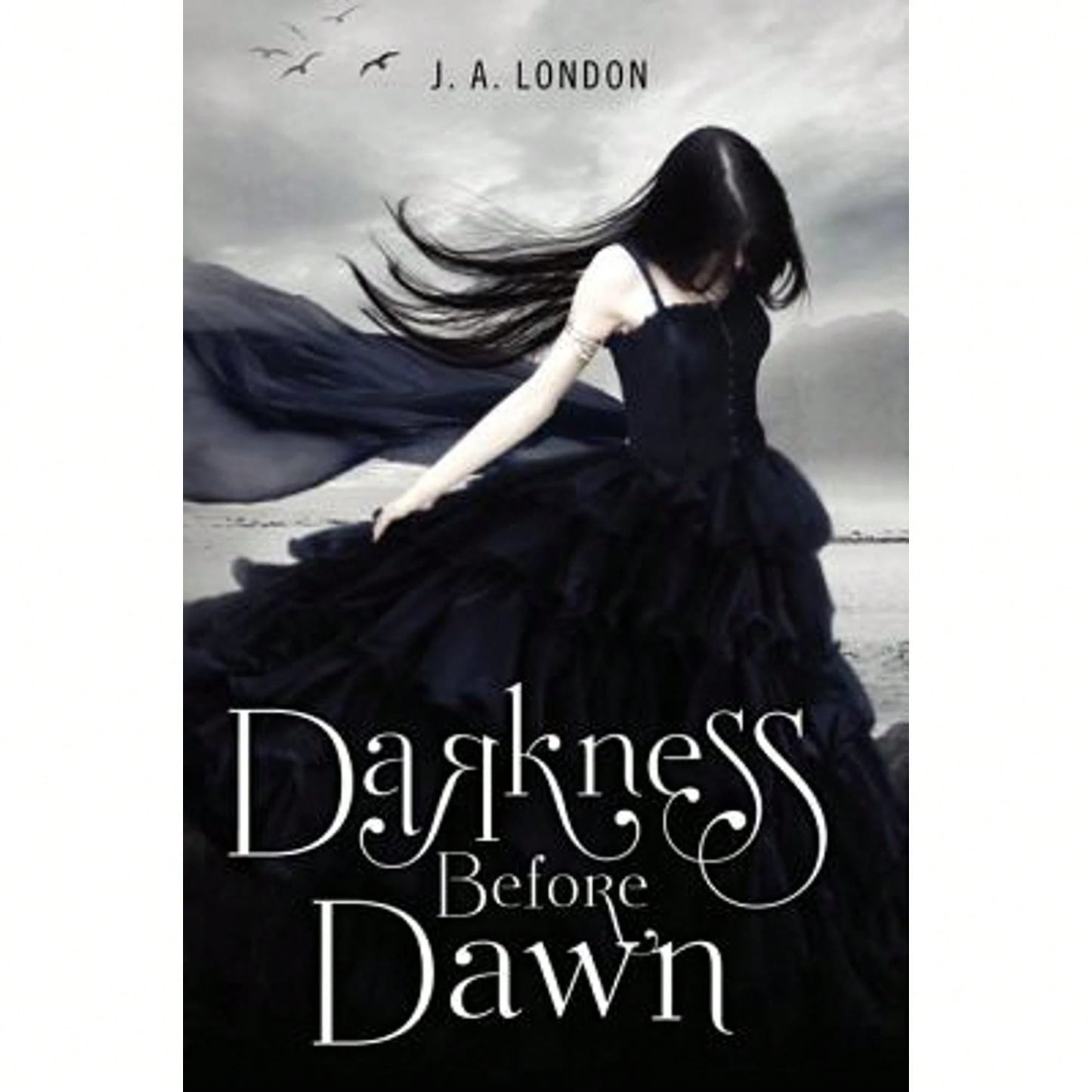 Pre-Owned Darkness Before Dawn (Paperback) By J A London