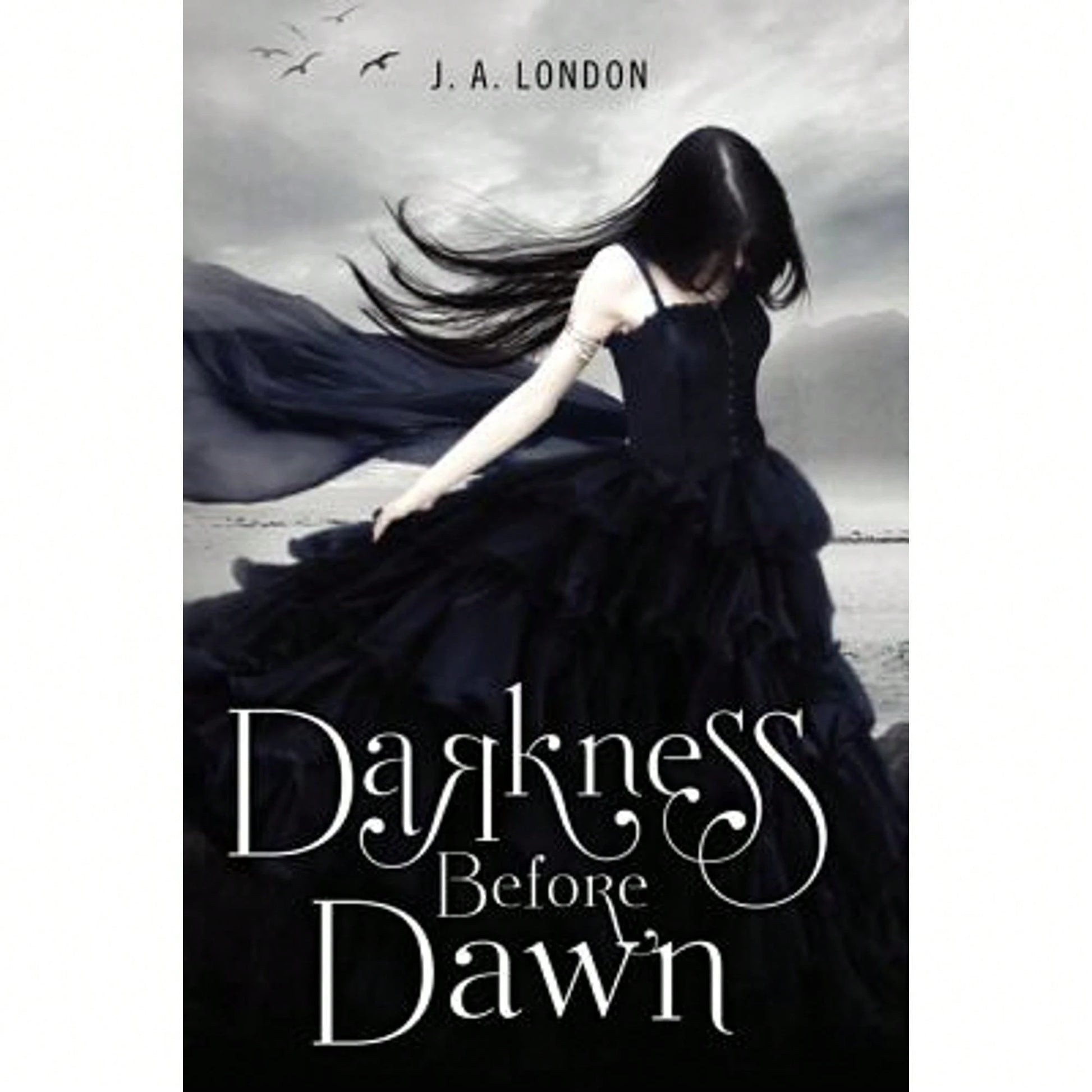 Pre-Owned Darkness Before Dawn (Paperback) By J A London