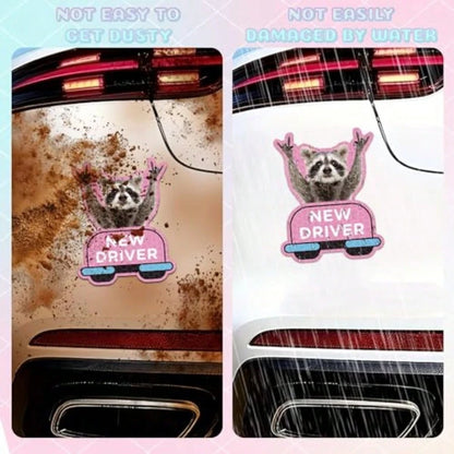Student Driver Car Magnet- 4 Pcs Raccoon Please Be Patient Student New Novice Driver Car Automotive Magnet Decal Bumper Sticker Safety Warning Magnetic Signs Reflective Rookie Reusable Movable