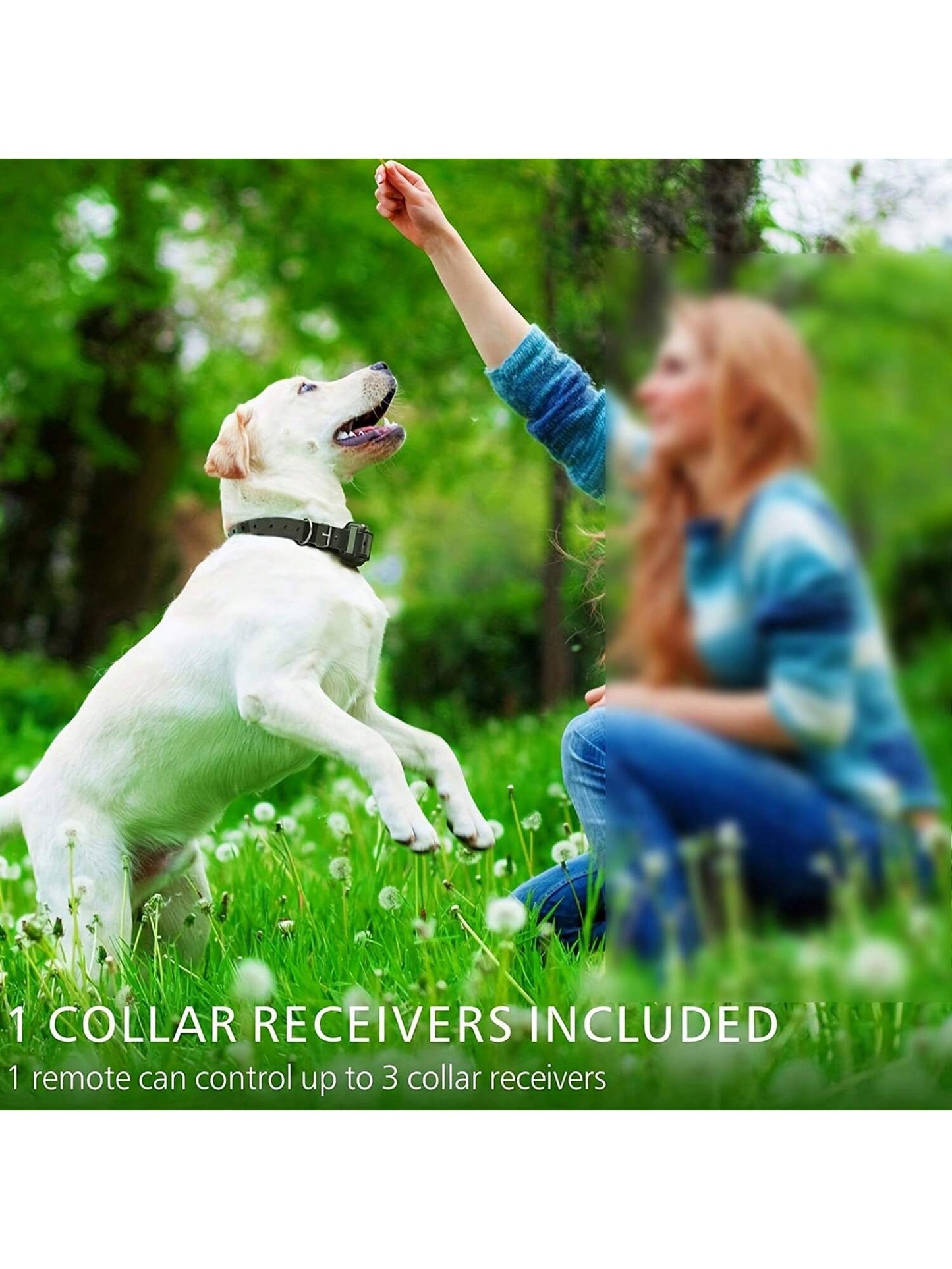 Train Your Dog Easily- Dog Training Collar With 3 Training Modes & 2600ft Control Range