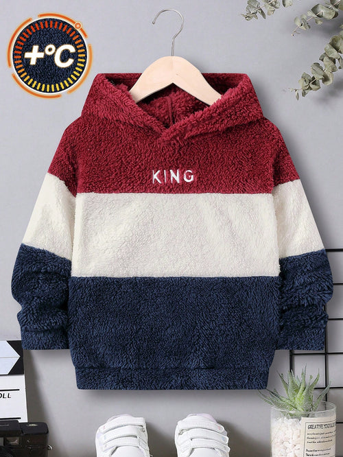 Young Boy Letter Embroidery Colorblock Teddy Sweatshirt,In Fall/Winter