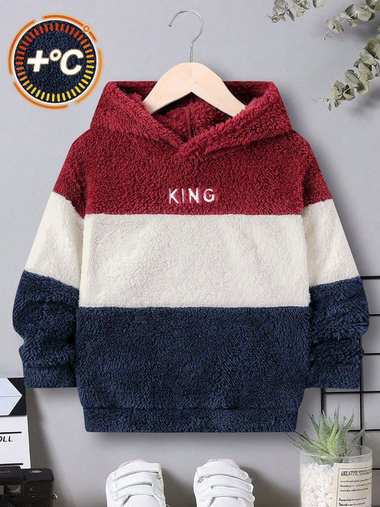 Young Boy Letter Embroidery Colorblock Teddy Sweatshirt,In Fall/Winter