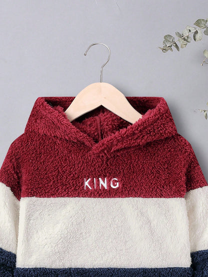 Young Boy Letter Embroidery Colorblock Teddy Sweatshirt,In Fall/Winter