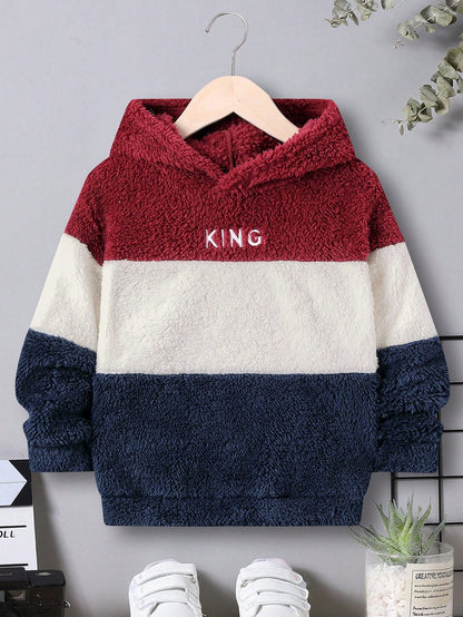Young Boy Letter Embroidery Colorblock Teddy Sweatshirt,In Fall/Winter